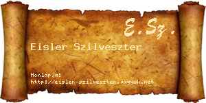Eisler Szilveszter névjegykártya